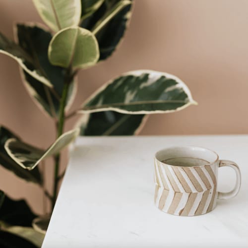 Détail du cabinet : une plante verte et une tasse posée sur une table claire